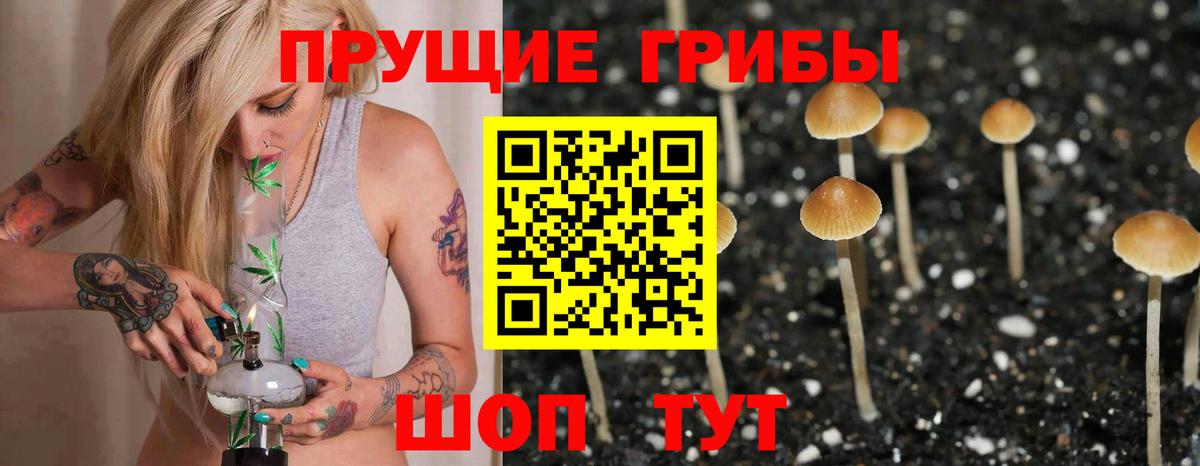 Галлюциногенные грибы Cubensis  Вход с VPN  Ступино 